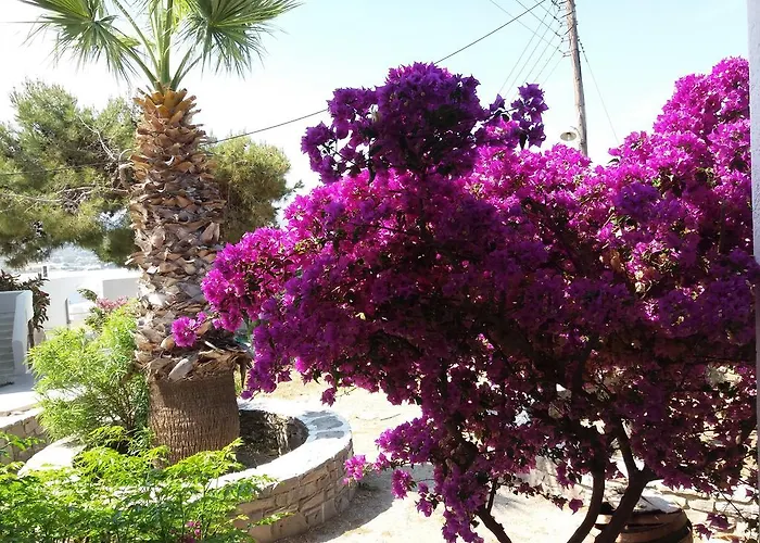 Krotiribay Adults Apartahotel 4*