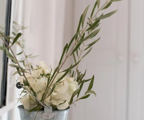 Krotiribay Adults Apartahotel Páros