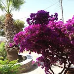 Krotiribay Adults Lejlighedshotel 4*