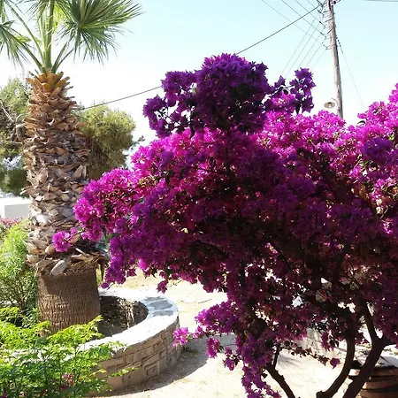Krotiribay Adults Lejlighedshotel 4*