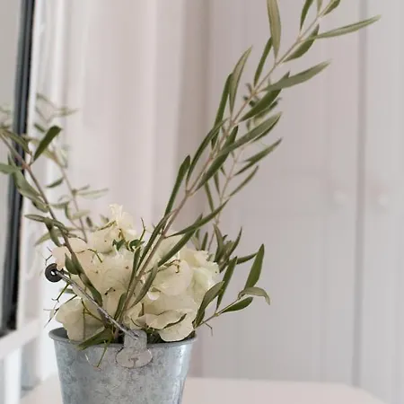 Krotiribay Adults Aparthotel Parikia (Paros)